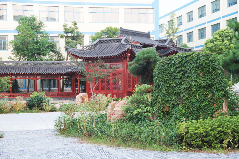 千赢国际(中国游)官方网站